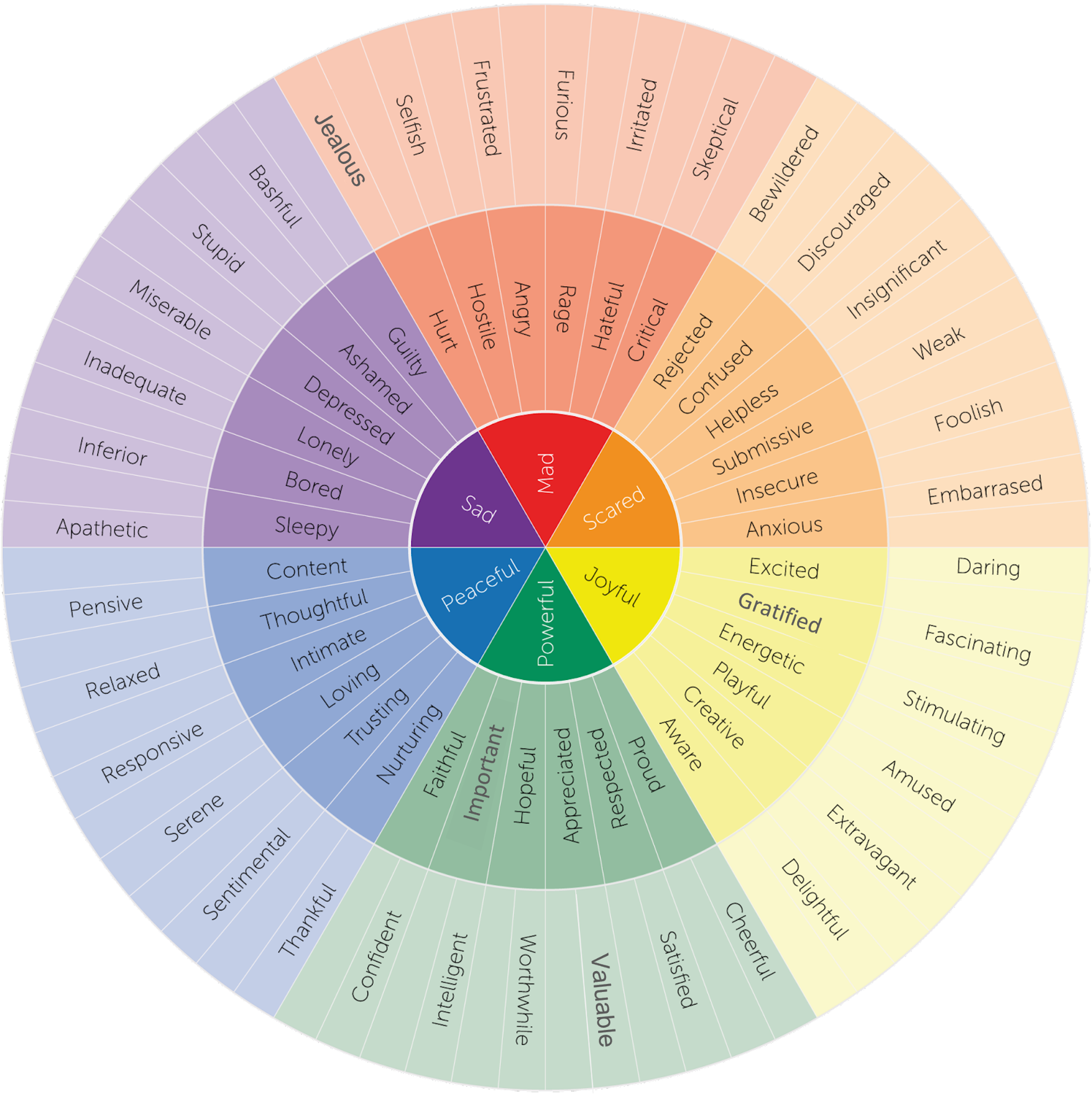 Curriculum figure