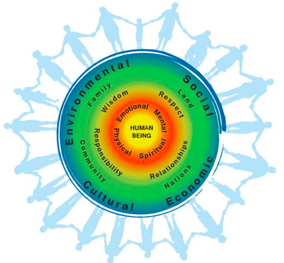 Curriculum figure